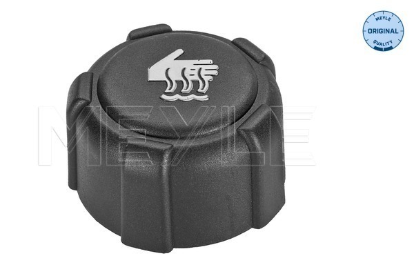 16-14 228 0000 Sealing Cap, coolant tank — AMERIGO 8200048024