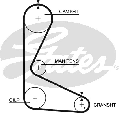 Courroie crantée — FIAT / LANCIA — GATES 5103