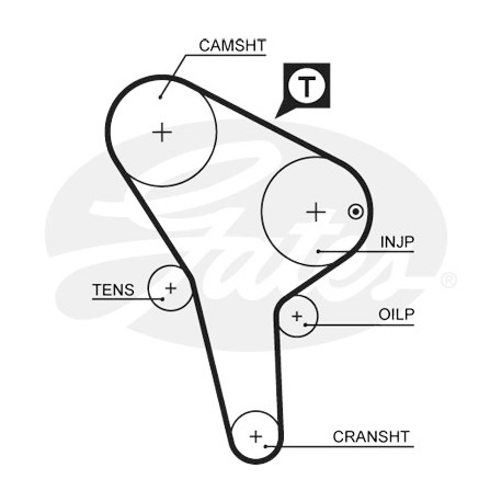 Courroie crantée — AUDI / VW — GATES 5176