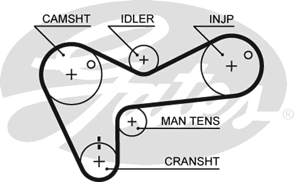 Courroie crantée — HONDA / OPEL / VAUXHALL — GATES 5306