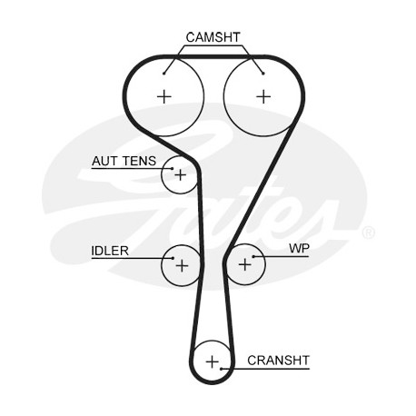 Courroie crantée — NISSAN / OPEL / RENAULT / VAUXHALL — GATES 5550XS