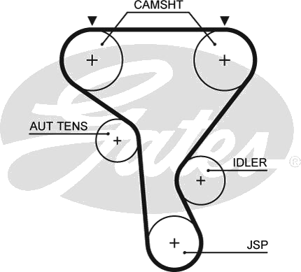 Courroie crantée — NISSAN / OPEL / RENAULT / VAUXHALL — GATES 5573XS