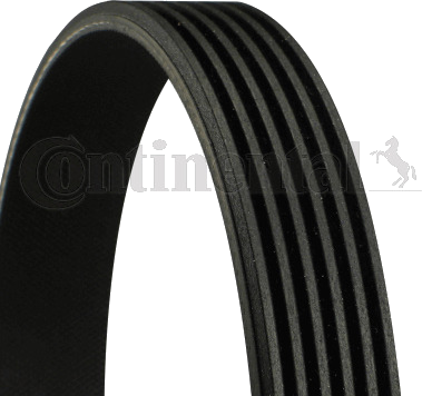 Courroie trapézoïdale à nervures DAYCO 6 PK 1250 DAYCO 6 PK 1250 — CHEVROLET / CITROËN / FORD / OPEL — COURROIE POLY-V 6PK1250