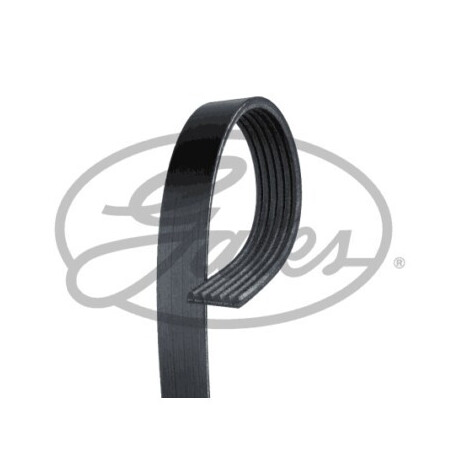 Courroie trapézoïdale à nervures GATES 6PK883 (Remplace 68356) — CHEVROLET / NISSAN / RENAULT — COURROIE POLY-V 6PK883
