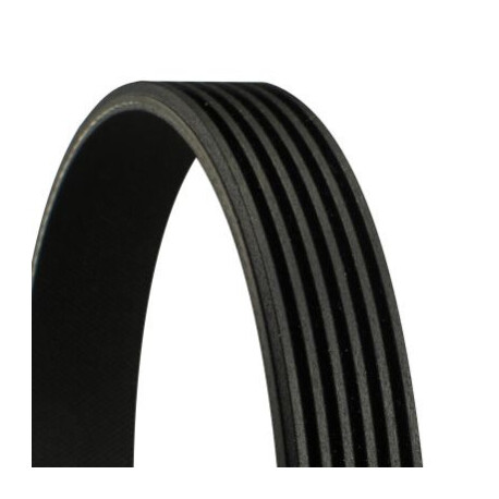 CONTINENTAL CTAM Courroie trapézoïdale poly-V 6PK986 CONTINENTAL CTAM 6PK986 — BMW / FIAT / HONDA — COURROIE POLY-V 6PK986