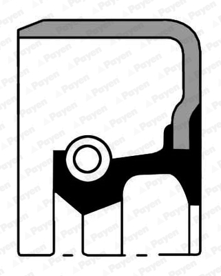 NJ540 Shaft Seal, differential — 00000147 MB837719