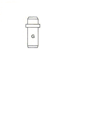 01-2462 Guides de soupape — METELLI 012462