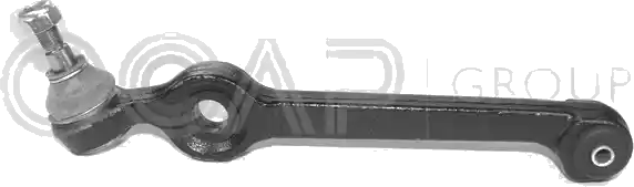 0300001 Bras de suspension — OCAP S.P.A 0300001