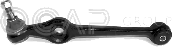 0300005 Bras de suspension — OCAP S.P.A 0300005