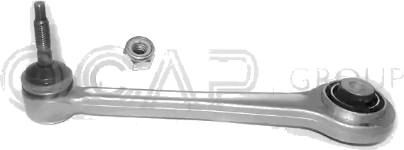 0301875 Bras de suspension — OCAP S.P.A 0301875