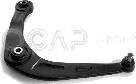 0390487 Bras de suspension — OCAP S.P.A 0390487