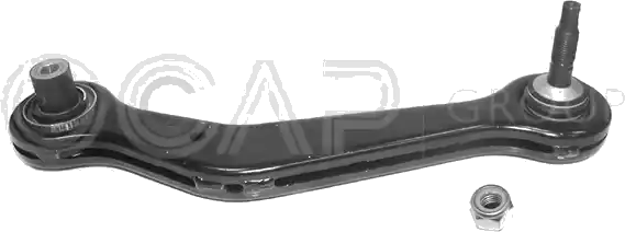 0791876 Bras de suspension — OCAP S.P.A 0791876