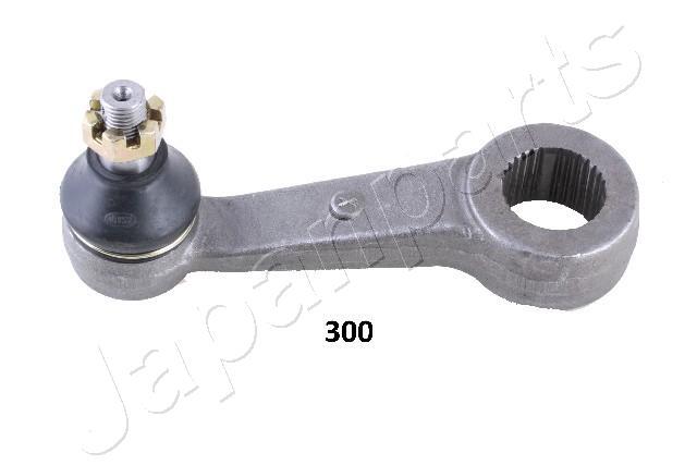 PI-300 Steering Arm — 00000180 PI-300