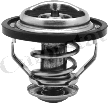 Thermostat d'eau moteur