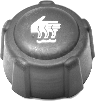 Vase d'expansion — Renault / Dacia