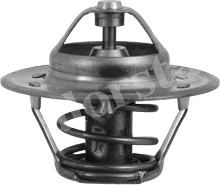 Thermostat d'eau / Calorstat