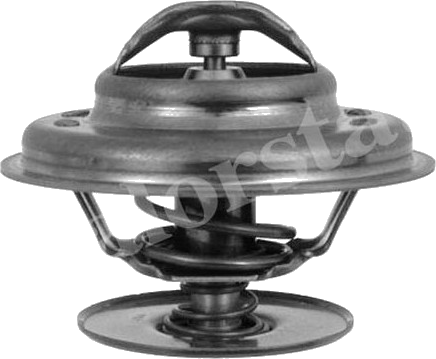 Thermostat d'eau / Calorstat
