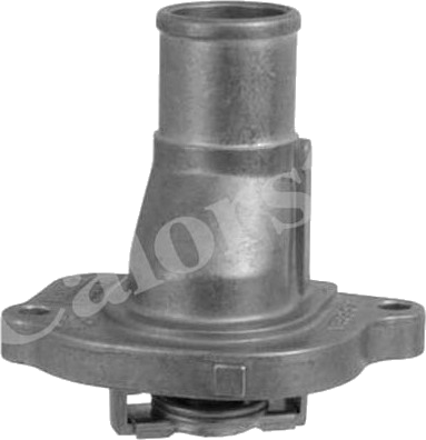 Thermostat d'eau / Calorstat