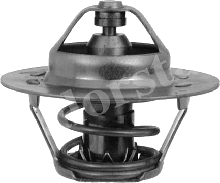 Thermostat d'eau / Calorstat