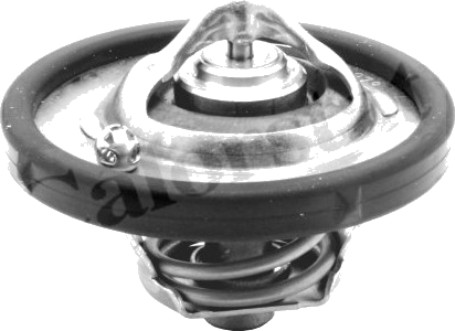 Thermostat d'eau / Calorstat