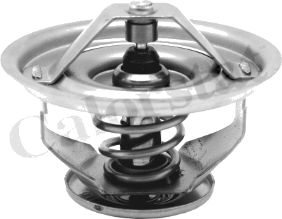 Thermostat d'eau moteur