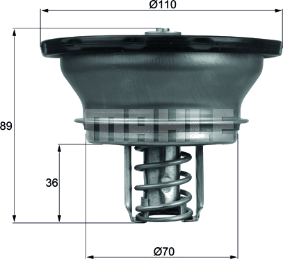 Thermostat d'eau moteur