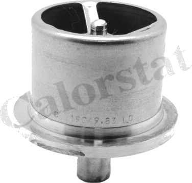 Thermostat d'eau moteur