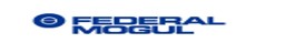 FEDERAL MOGUL
